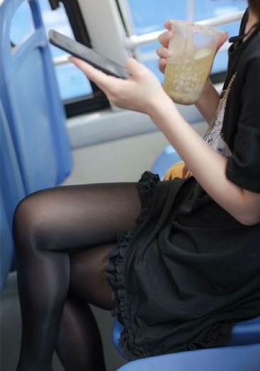 请将我驯服
