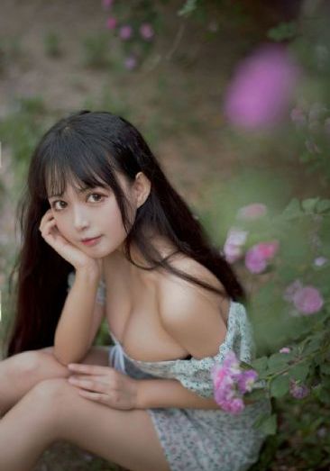 终极斗士5免费 在线观看