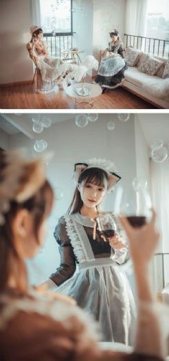 仙踪林电视剧在线观看完整