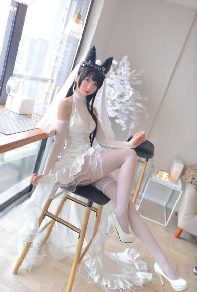 风吹半夏电视剧免费看高清