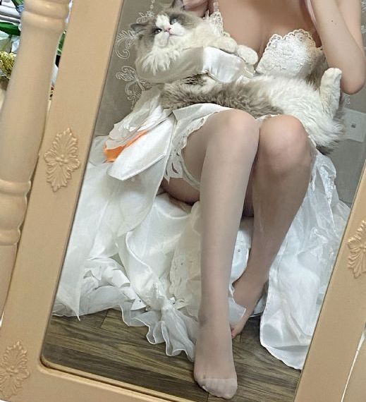 六个瑞典女人在阿尔卑斯山