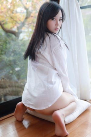 星尘斗士48集全免费播放