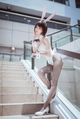 风之画员电视剧全集免费观看