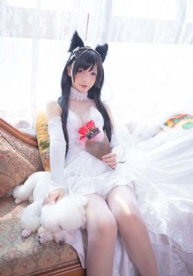 姐姐韩剧免费观看全集