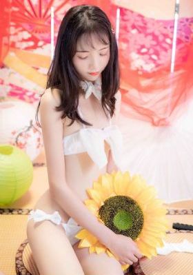 南来北往40集免费观看